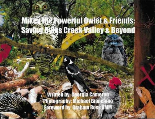 Mikey the Powerful Owlet & Friends: Saving Bytes Creek Valley & Beyond