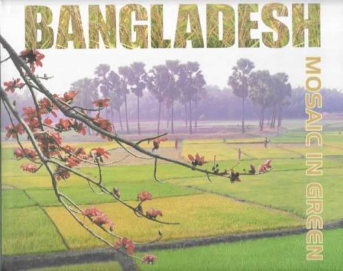 Bangladesh: Mosaic in Green