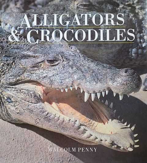 Alligators & Crocodiles