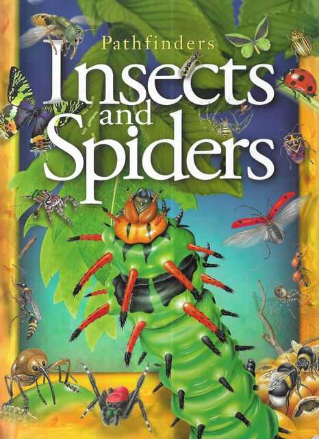 Pathfinders: Insects and Spiders