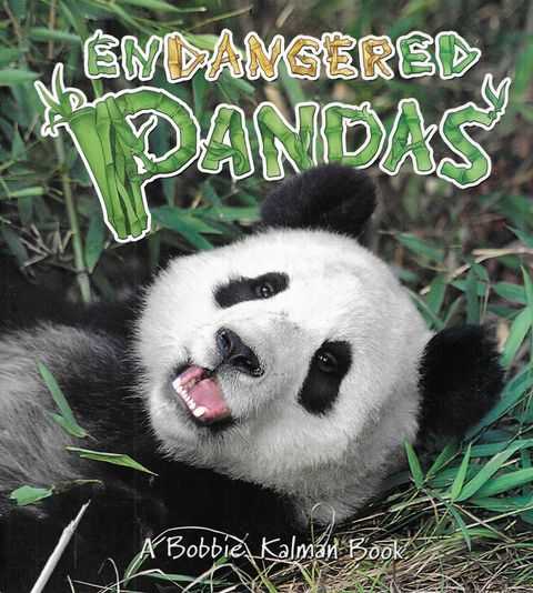 Endangered Pandas