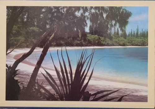 Reflections on New Caledonia