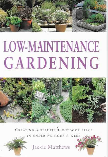Low-Maintenance Gardening: Creating a Beautiful Outdoor Space in Under an Hour A Week