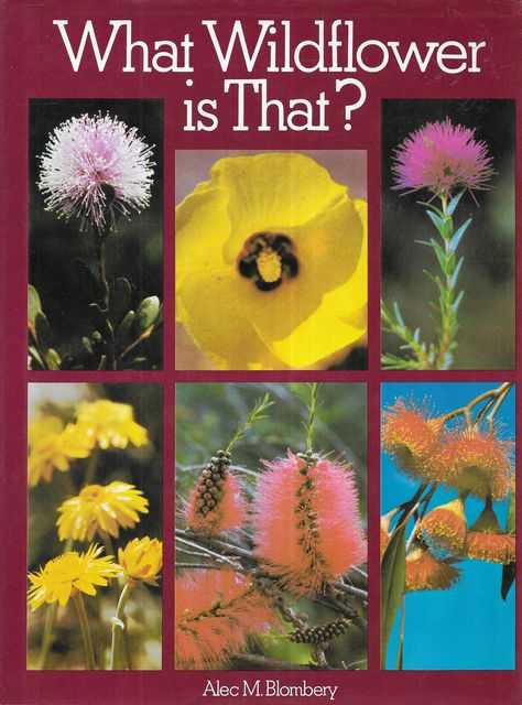 What Wildflower is That!