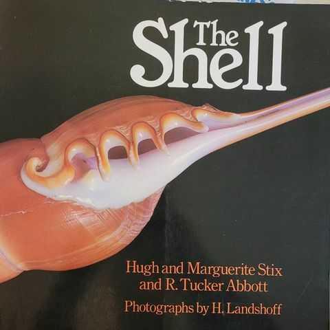 The Shell