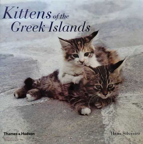 Kittens of the Greek islands