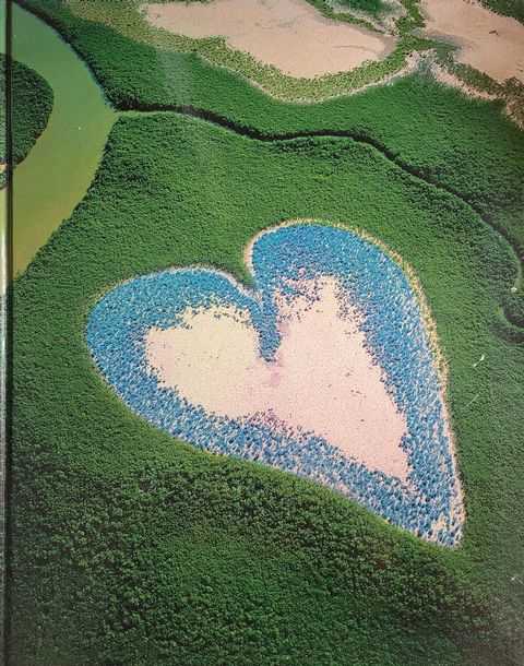 The Earth from the Air [10th Anniversary Edition]