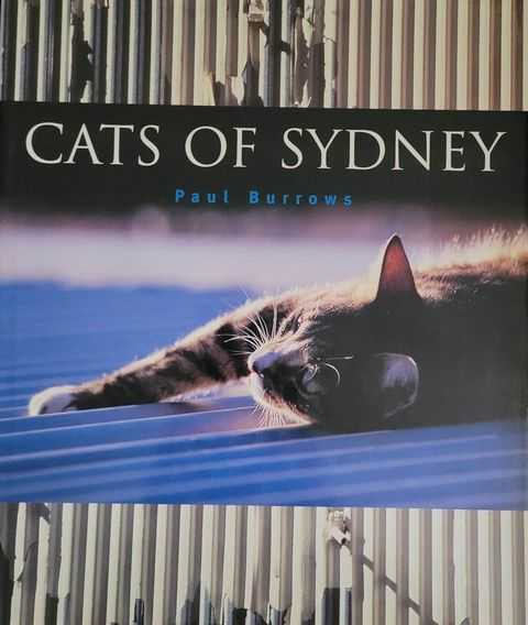 Cats of Sydney