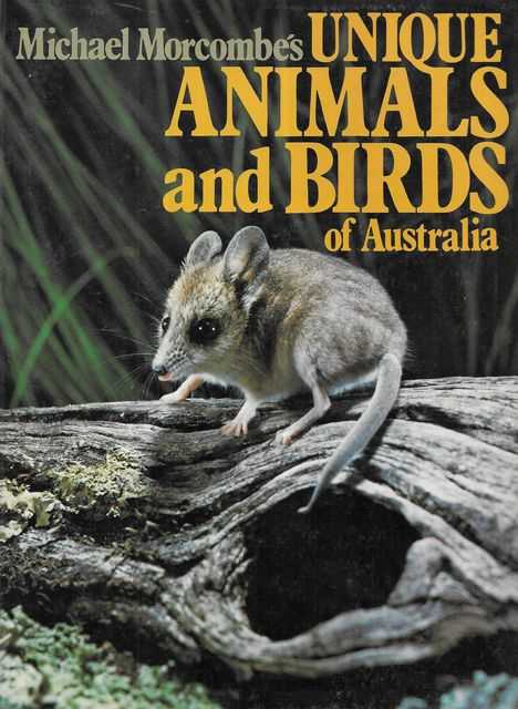 Michael Morcombe's Unique Animals and Birds of Australia