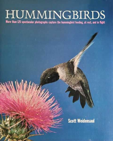 Image for Hummingbirds Hummingbirds