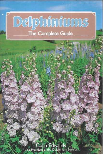 Delphiniums: The Complete Guide