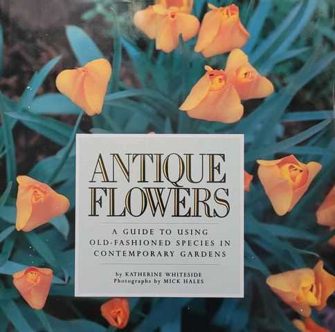Antique Flowers: A Guide to Using Old-Fashioned Species in Contemporary Gardens