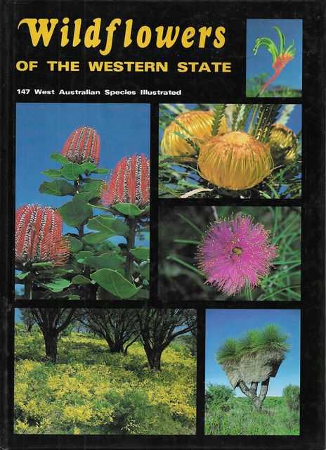 Wildflowers of the Western State - 147 West Australian Species Illustrated