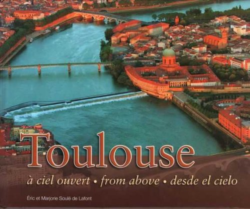 Toulouse From Above