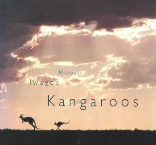 Mitsuaki Iwago's Kangaroos