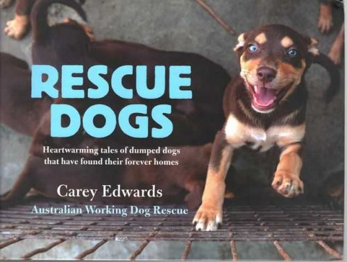 Rescue Dogs: Heartwarming tales of Dumped Dogs That Have Found Their Forever Homes