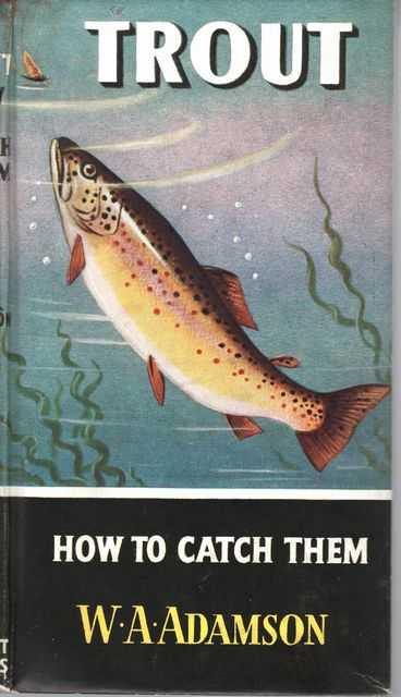 Trout: How To Catch Them