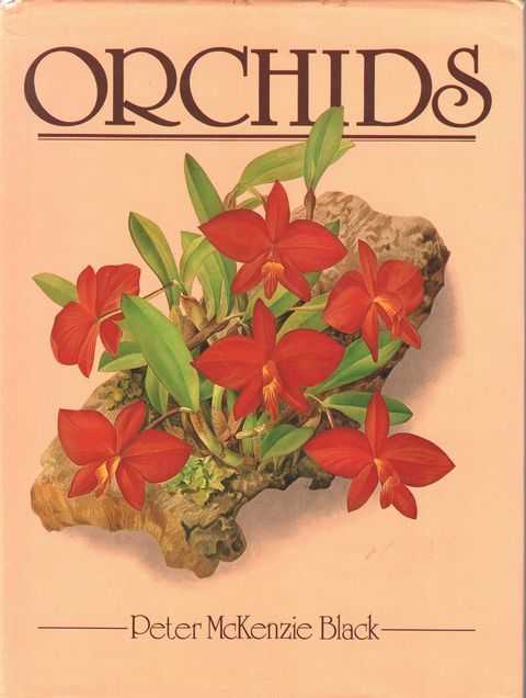 Orhids