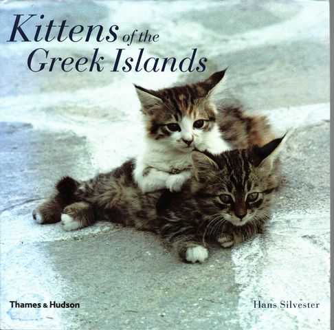 Kittens of the Greek Islands