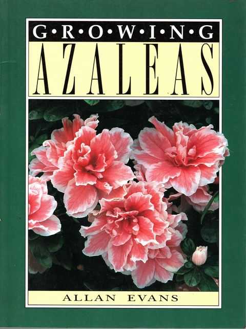 Growing Azaleas