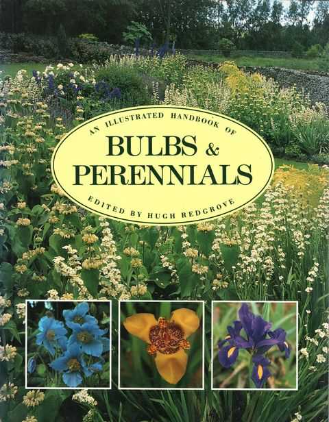 An Illustrated Handbook of Bulbs & Perennials