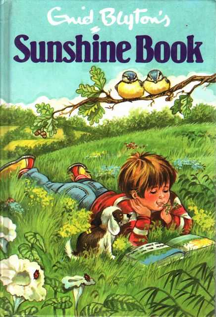 Enid Blyton's Sunshine Book