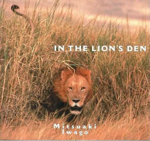 In The Lion's Den