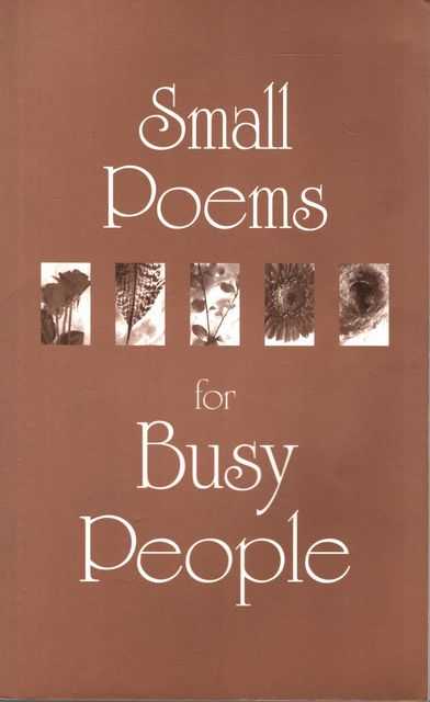Small Poems for Busy People