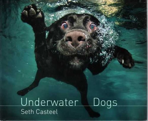 Underwater Dogs