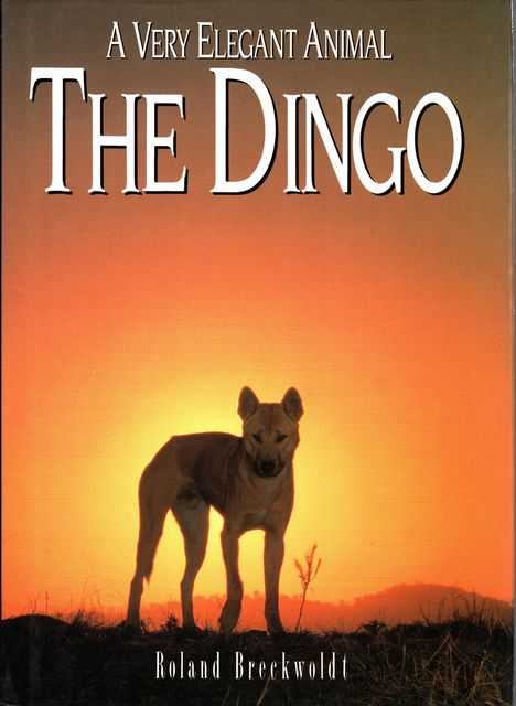 A Very Elegant Animal - The Dingo