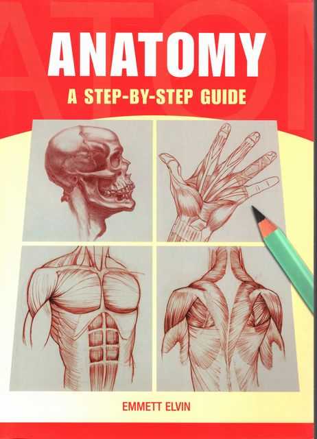 Anatomy: A Step-By-Step Guide