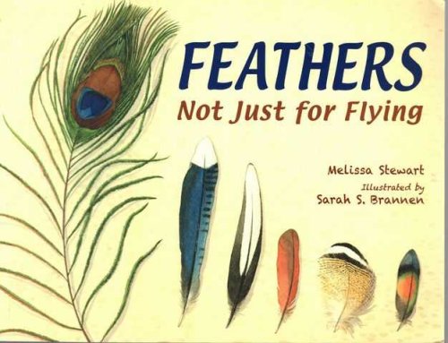 Feathers Not Just For Flying