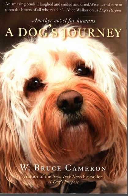 A Dog's Journey
