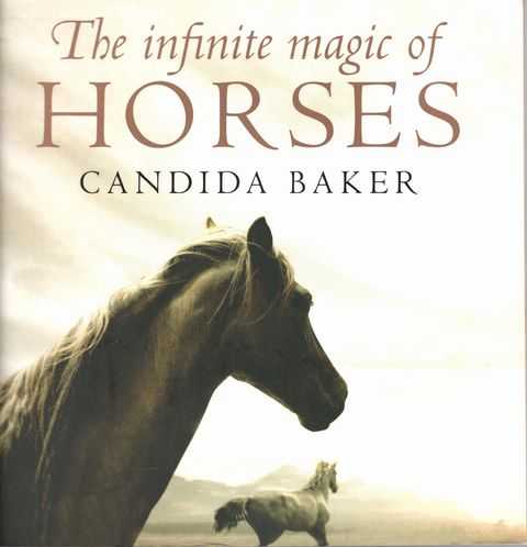 The Infinite Magic of Horses
