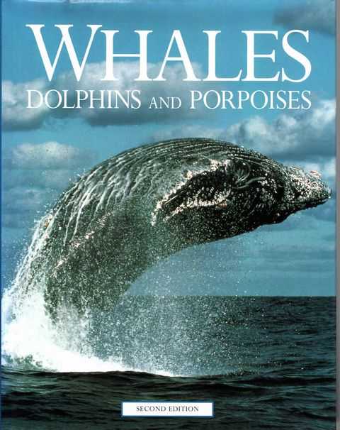 Whales Dolphins and Porpoises