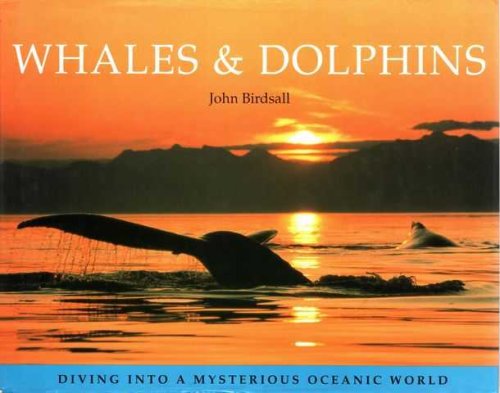 Whales & Dolphins: Diving into a Mysterious Oceanic World