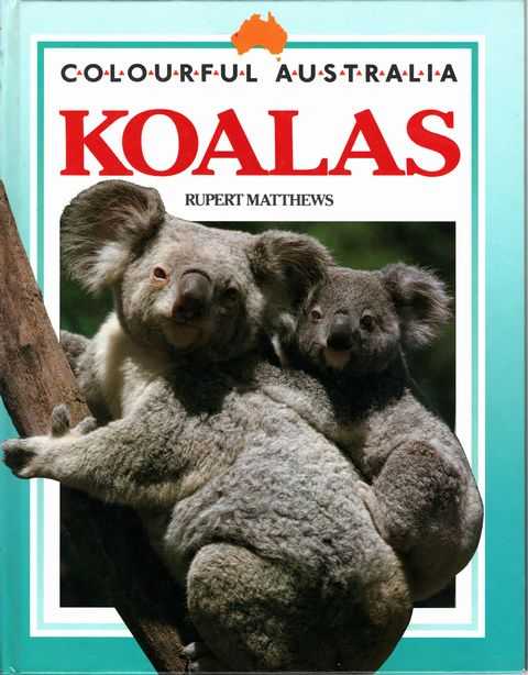 Colourful Australia: Koalas