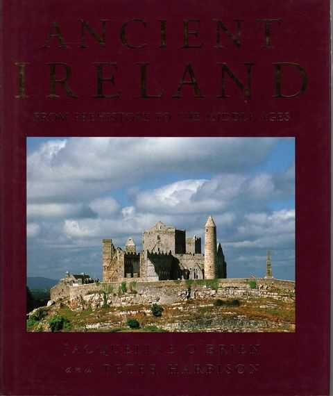 Ancient Ireland: From Prehistory to the Middle Ages