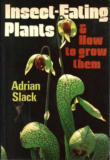 Insect Eating Plants & How To Grow Them