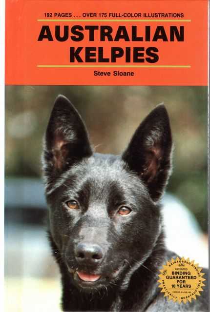 Australian Kelpies