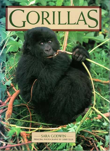 Gorillas