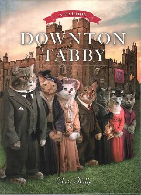 Downtown Tabby