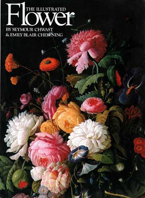 The Illustrated Flower