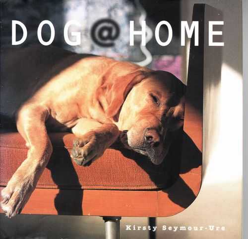Dog Home