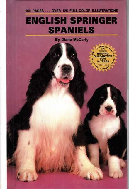 English Springer Spaniels