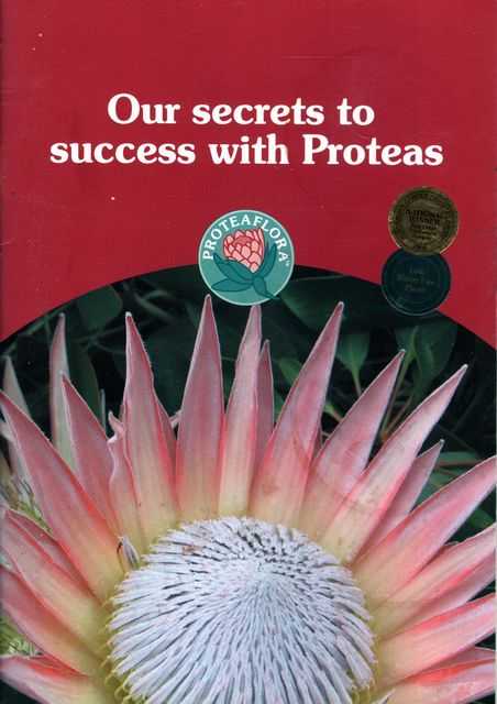 Our Secrets to Success with Proteas