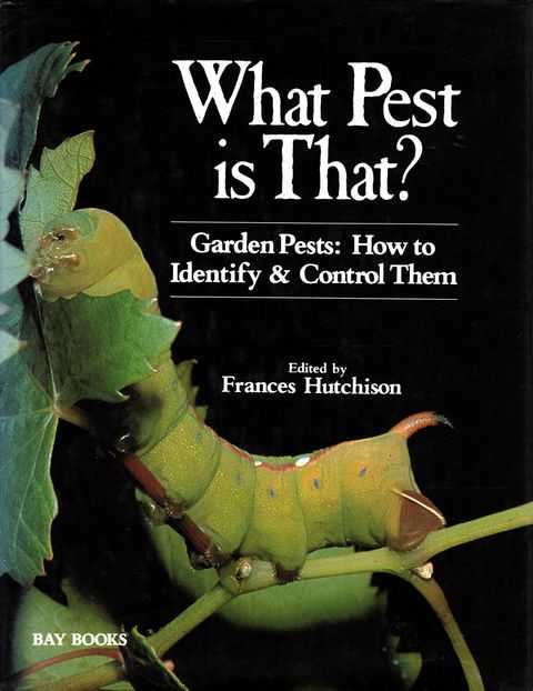What Pest is That Garden pests: How to Identify & Control Them
