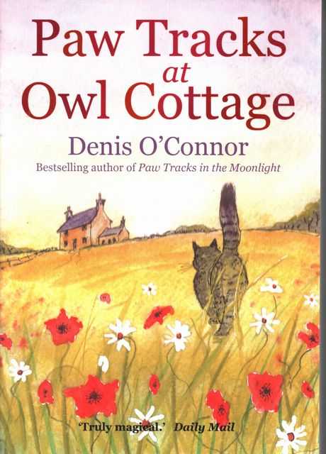 Paw Tracks at Owl Cottage