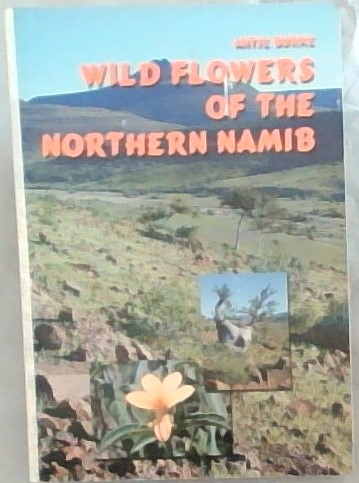 Wild Flowers of the Northern Namib