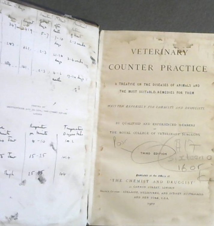Veterinary Counter Practice